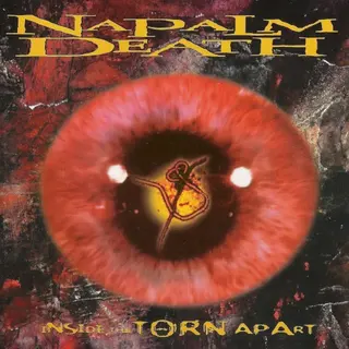 Cover of Inside the Torn Apart