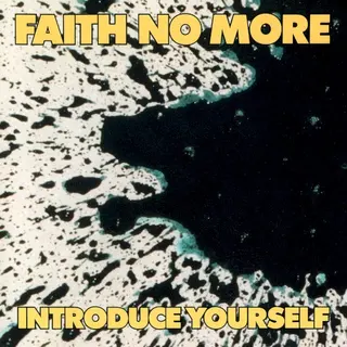 Cover of Introduce Yourself