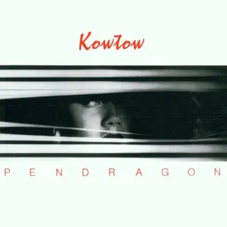 Cover of Kowtow