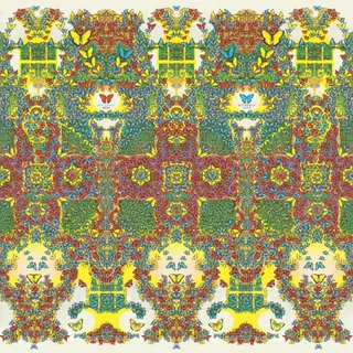 Cover of Butterfly 3000