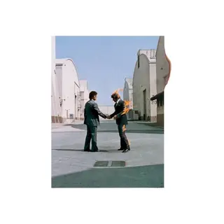 Cover of Wish You Were Here