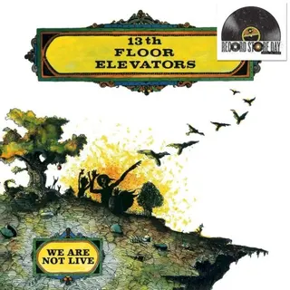 Cover of We Are Not Live