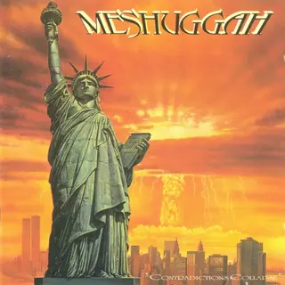 Cover of Contradictions Collapse
