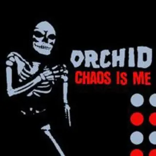 Cover of Chaos Is Me