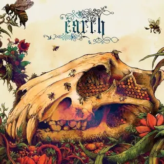 Cover of The Bees Made Honey in the Lion’s Skull