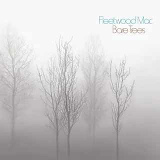 Cover of Bare Trees