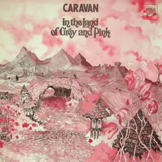 Cover of In the Land of Grey and Pink