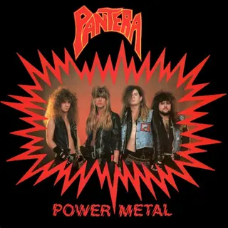 Cover of Power Metal