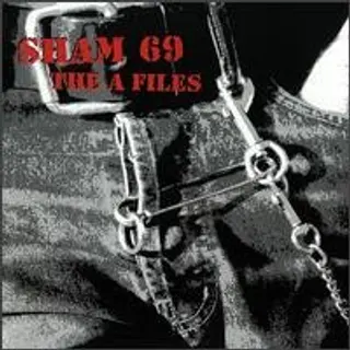 Cover of The A Files
