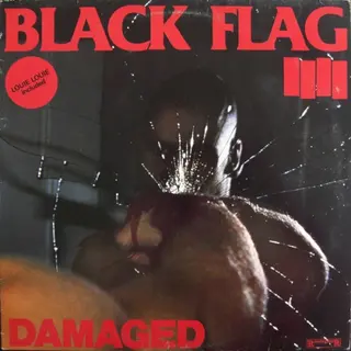 Cover of Damaged