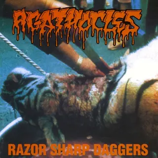 Cover of Razor Sharp Daggers