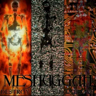 Cover of Destroy Erase Improve