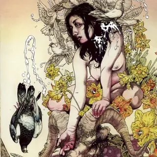 Cover of Meir