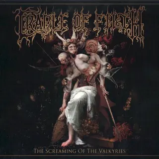 Cover of The Screaming of the Valkyries