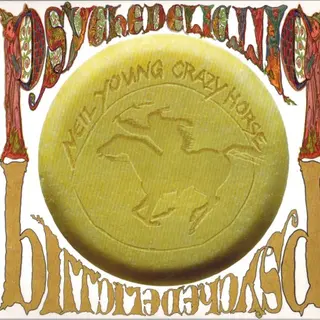 Cover of Psychedelic Pill