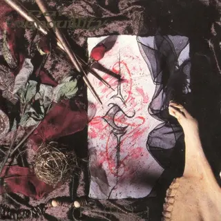 Cover of The Mind’s I