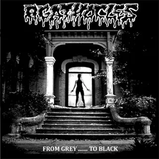 Cover of From Grey… to Black