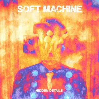 Cover of Hidden Details