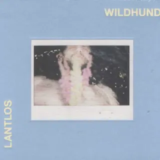 Cover of Wildhund