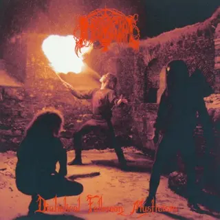 Cover of Diabolical Fullmoon Mysticism