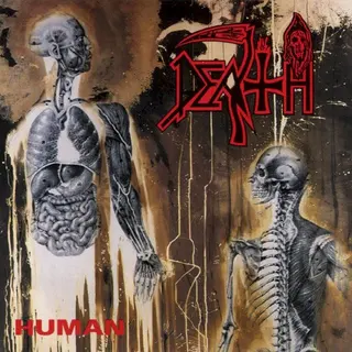 Cover of Human