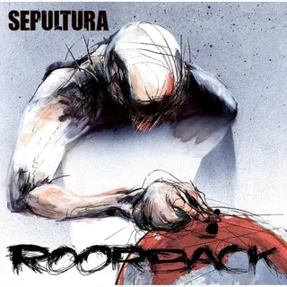 Cover of Roorback