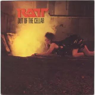 Cover of Out of the Cellar