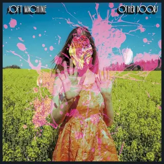 Cover of Other Doors