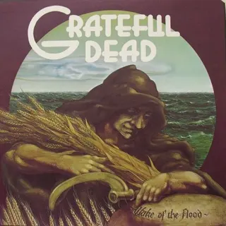 Cover of Wake of the Flood