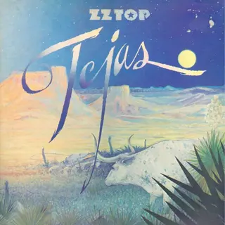 Cover of Tejas
