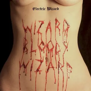 Cover of Wizard Bloody Wizard