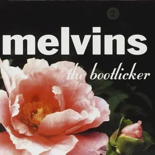 Cover of The Bootlicker