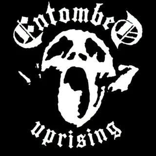 Cover of Uprising