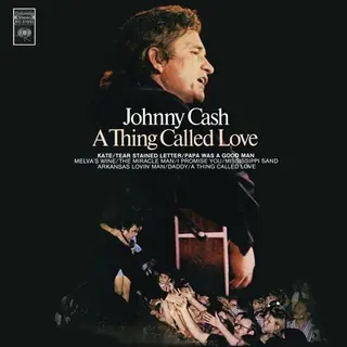 Cover of A Thing Called Love