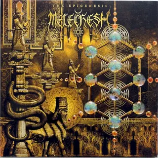 Cover of The Epigenesis