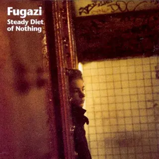 Cover of Steady Diet of Nothing