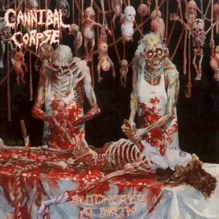 Cover of Butchered at Birth