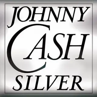 Cover of Silver