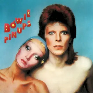 Cover of Pin Ups