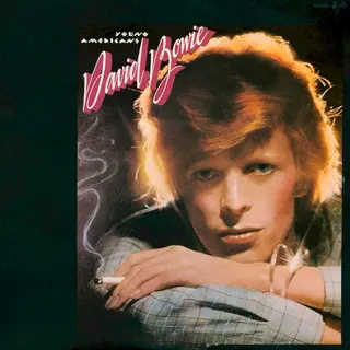 Cover of Young Americans