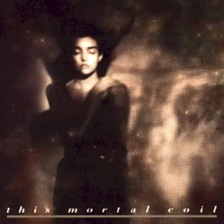 Cover of It'll End in Tears