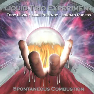 Cover of Spontaneous Combustion