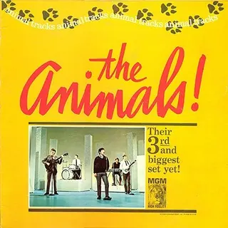 Cover of Animal Tracks