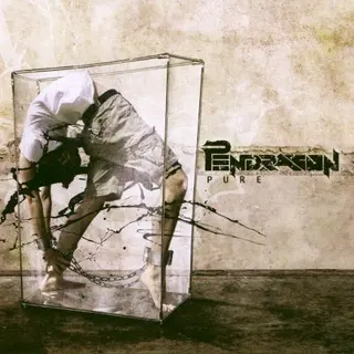 Cover of Pure