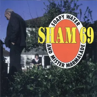 Cover of Soapy Water & Mister Marmalade