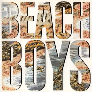 Cover of The Beach Boys