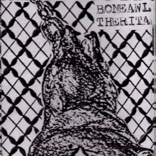 Cover of Bone Awl / The Rita