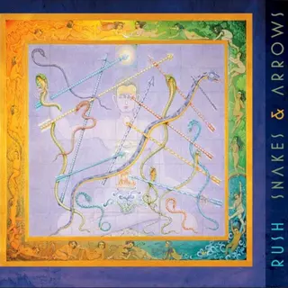 Cover of Snakes & Arrows