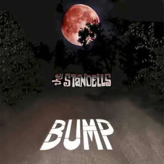 Cover of Bump