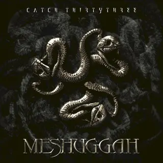 Cover of Catch Thirtythree